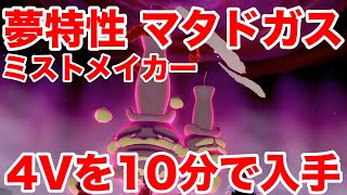 【ポケモンソード】夢特性ミストメイカーの\