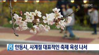 [안동MBC뉴스]안동에서 4계절 축제 즐기기