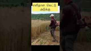 எளிதான வெட்டு அடுக்கு. #agriculture #tamilnadu #tnfarmers #tnagriculture #vivasayi #tamil #farming