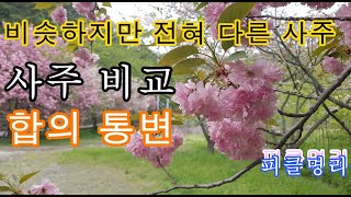 사주 비교, 비슷하지만 전혀 다른 두 사주, 통변 방법