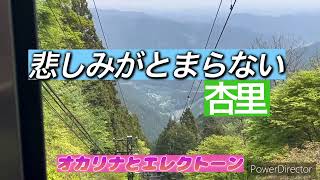 【悲しみがとまらない（杏里）】歌詞付き　オカリナとエレクトーン