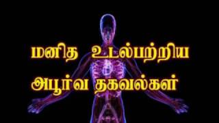 மனித உடல் பற்றிய தகவல் சில அதிசய தகவல்கள் (You Didn’t Know About Your Body)