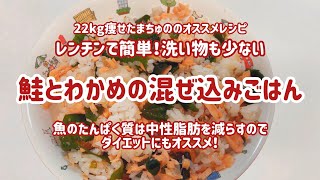 【レンチンダイエット飯】鮭とわかめの混ぜ込みごはん