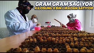 Gram gram sağıyor, kilosunu 8 bin liradan satıyor