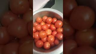 Tomato 🍅 || jai Jawan Jai Kisan #foodlovers