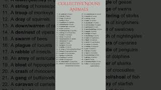 Collective Nouns of Animals | List of Collective Nouns