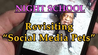 Night School: "Revisiting Social Media Pets"