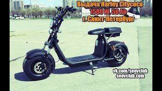 Выдача Harley Citycoco 1500W, 50Ah СПб. vk.com/seevclub, seevclub.com, seev, woqu, citycoco