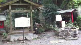 東霧島神社(つまきりしま)