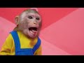 kiki monkey play sprunki challenge to get four colors pringles potato french fries kudo animal kiki