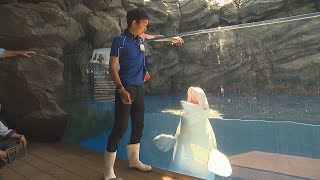 ≪ニュースLiNK≫上越市立水族博物館「うみがたり」 報道公開