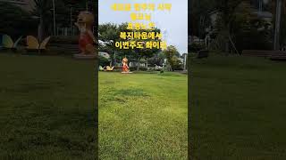 새로운 한주의 시작 월모닝☘️🍀 효령노인복지타운에서 화이팅!!🍁환절기 건강관리에 유의하세요🍮