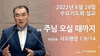 2022년 6월 29일 