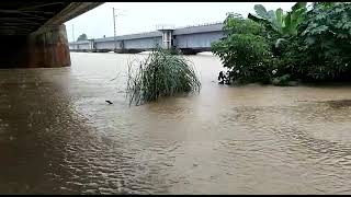 Flood in Panskura beside Kanshabati river - 8 .. very sad ..😥😥😥😥😥