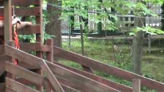 Diving Horse at the Magic Forest in Lake George, New York