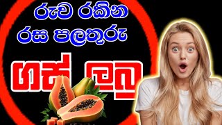 රුව රකින රස පලතුර ගස් ලබු | Trees with delicious fruit that preserve the beauty | Found trees 2024