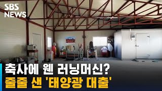 축사에 웬 러닝머신?…줄줄 샌 '태양광 대출' / SBS