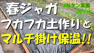 【春ジャガ】フカフカ土作りとマルチ掛け保温!!