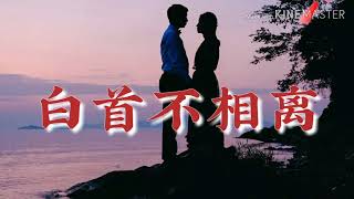 (白首不相離) (演唱：海生\u0026蔣鈺華) (Bái shǒu bù xiāng lí) (yǎnchàng: Hǎi shēng\u0026jiǎngyùhuá)