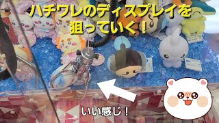 【ちいかわ】ハチワレのディスプレイをクレーンゲームで狙う！