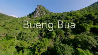 Bueng Bua