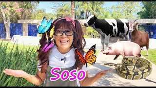 Soso Visits The Zoo and Learns About Animals | Educational Video for Kids