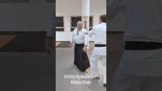 Ushiro Ryokata Dori Kokyu Nage | Aikido in Haifa