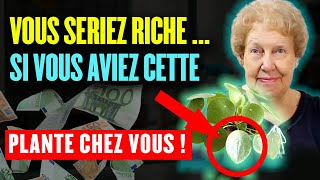 Gardez Cette Plante en Vie : Elle Attire l'Argent et la Richesse