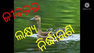 ସଫଳ ଜୀବନର ଦିଶାଧାରା। ଆଜିର ବିଷୟ-- ଜୀବନର ଲକ୍ଷ୍ୟ ନିର୍ଦ୍ଧାରଣ।