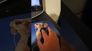 How to move your camera in roblox