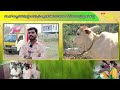 homeopathy for lumpy skin disease in cows ఆవులకొచ్చే చర్మ వ్యాధికి హోమియో వైద్యంతో చెక్ tone agri