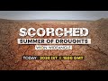 WION Wideangle LIVE: The worst droughts of 2022 | Scorched summer of droughts