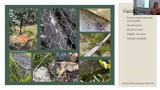 Fenner Seminar: The post-fire benefits of coarse woody debris for small mammals and reptiles