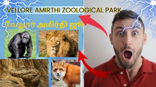 Vellore amirthi 🐊 zoological park 🏞️ வேலூர் அமிர்தி ஜூ 🐒