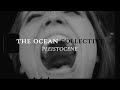 The Ocean - Pleistocene (OFFICIAL VIDEO)