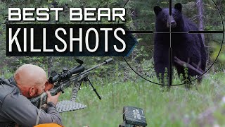 BEST BEAR KILL SHOTS YOU'LL EVER SEE!