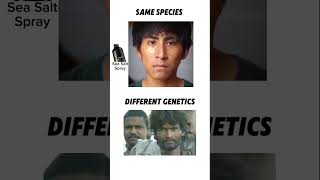 Difference Between Genetic Looksmaxxing Genetics Look Explore Shorts