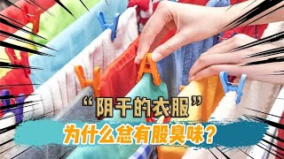 回南天到底有多可怕？阴干的衣服，为啥总是有股“臭味”？