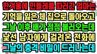 [실화사연] 한겨울에 민들레를 따러간 엄마는 기억을 잃은 체 집으로 돌아오고 그날 이후 배가 점점 불러오는데 낯선 남자에게 걸려온 전화에 그날의 충격 비밀이 드러나는데 / 사연낭독