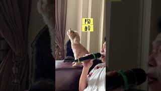 【貴賓狗多多】狗界台語新秀⁉️有看過這麼會唱台語歌的狗狗嗎🐶