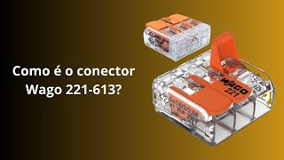 Como é o conector Wago 221-613?