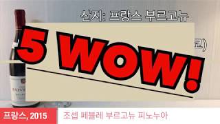 [와인리뷰] 조셉 페블레 부르고뉴 피노누아, 오늘의한잔.[코스트코 와인추천]