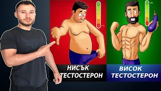 10 Храни За Висок Тестостерон