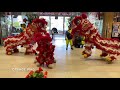 新加坡玄威龍獅學院 Singapore Xuan Wei Dragon & Lion Dance Troupe