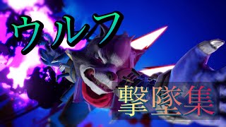 【スマブラsp】ウルフ撃墜集