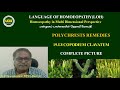 19 LYCOPODIUM CLAVATUM # POLYCHRESTS REMEDIES # Dr R Saravanakumar BHMS   Madurai