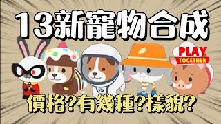 【天天玩樂園】寵物｜13種新寵物合成圖鑑🙀｜樣子？價格？有幾隻？｜你需要的這裡都有✨🤍＃天天玩樂園 ＃PlayTogether