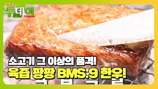 소고기 그 이상의 품격! 살살 녹는 BMS.9 한우ㅣ생방송 투데이(Live Today)ㅣSBS Story