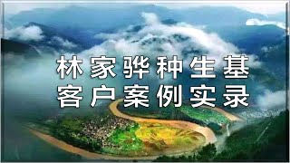 11 种生基道教改运风水|部分种生基客户案例|种生基找林家骅|種生基道教改運風水|部分種生基客戶案例|種生基找林家驊