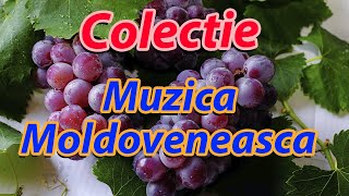 Colectie de muzica Moldoveneasca / Muzica MD
